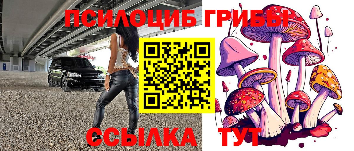 Псилоцибиновые грибы Psilocybine cubensis Советский